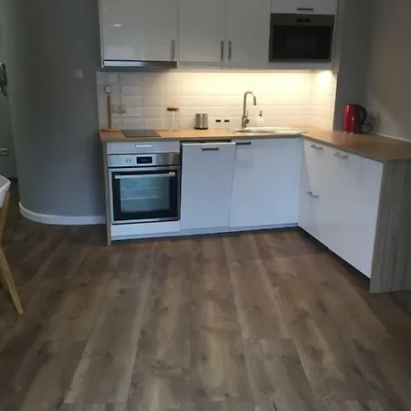 Апартаменты Silence Baltic Pod Zaglami *