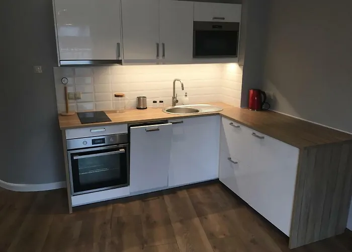 Silence Baltic Pod Zaglami 公寓